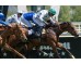  Carrera: P.Valderas Monta: V.Janacek Caballo: Octans